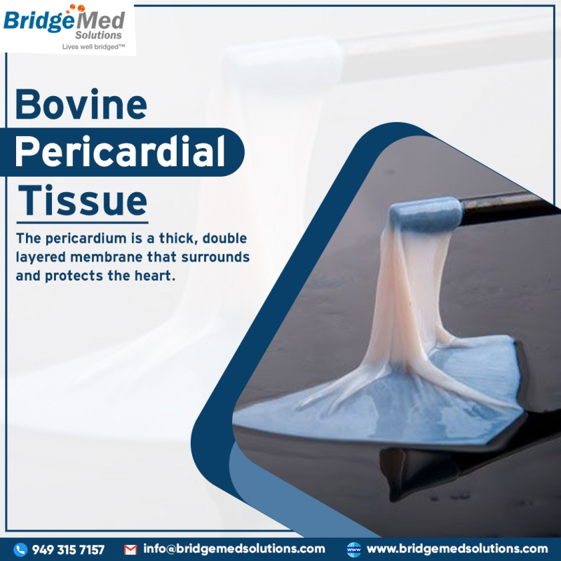 Bovine Pericardial Tissue