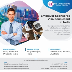 Employer Sponsored Visa Consultant in India