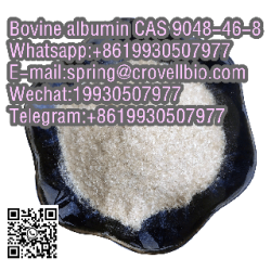 CAS 9048-46-8 Bovine albumin with low price +8619930507977