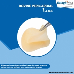 Bovine Pericardial Tissue