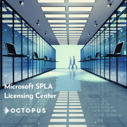Octopus Cloud SPLA | Microsoft SPLA License