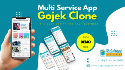 Gojek Clone App - Top-Notch On Demand Multi Service Solution