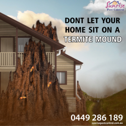Termite Inspection & Treatment - Melbourne