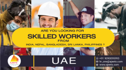 Do You Need skilled workers from India!!!!