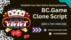 Create Your Own Gambling Empire in No Time with BC.Game Clone Script