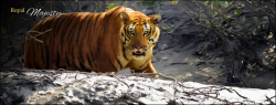 SUNDARBAN TOUR PACKAGE