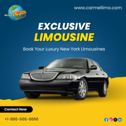 Experience Luxurious New York Limo Service – Carmellimo.com
