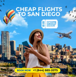 Find Cheap Flights to San Diego Starting from $99 Today  