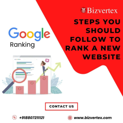 How to Rank Your New Website Quickly? Bizvertex Can Help Affordably!