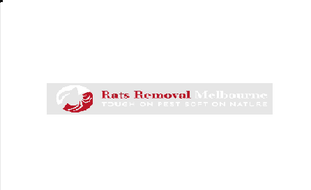 Rats Removal
