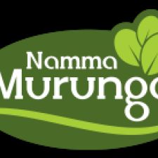 NammaMurungai