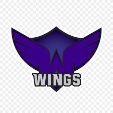 Wings001